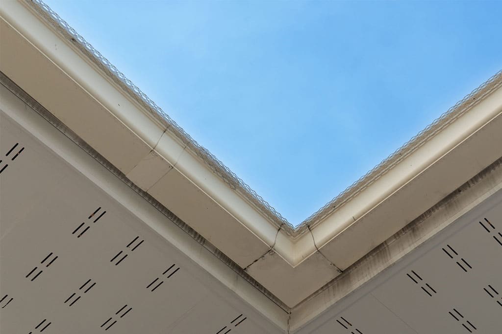 Gutter Replacement Needed
